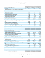 - Consolidated Statements of Cash Flows