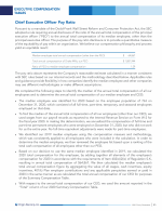 Chief Executive Officer Pay Ratio